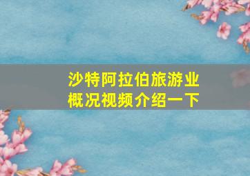 沙特阿拉伯旅游业概况视频介绍一下