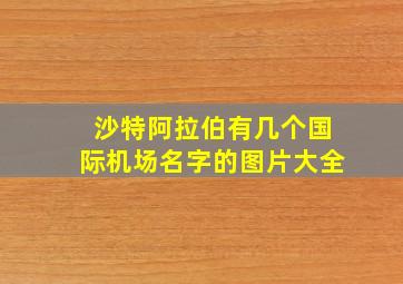 沙特阿拉伯有几个国际机场名字的图片大全