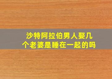 沙特阿拉伯男人娶几个老婆是睡在一起的吗