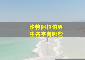 沙特阿拉伯男生名字有哪些