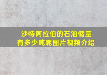 沙特阿拉伯的石油储量有多少吨呢图片视频介绍