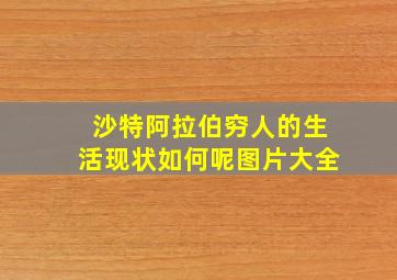 沙特阿拉伯穷人的生活现状如何呢图片大全