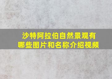 沙特阿拉伯自然景观有哪些图片和名称介绍视频