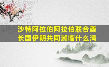 沙特阿拉伯阿拉伯联合酋长国伊朗共同濒临什么湾