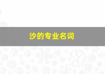 沙的专业名词