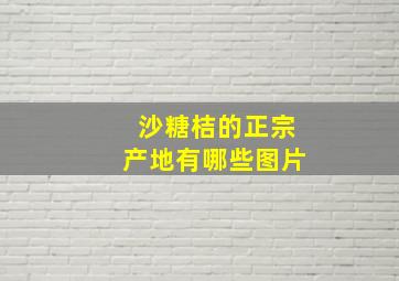 沙糖桔的正宗产地有哪些图片