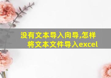 没有文本导入向导,怎样将文本文件导入excel