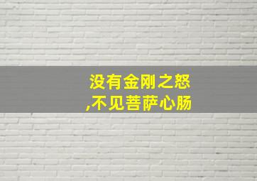 没有金刚之怒,不见菩萨心肠