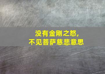 没有金刚之怒,不见菩萨慈悲意思