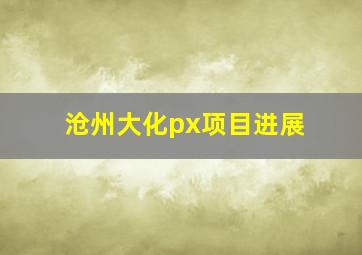 沧州大化px项目进展