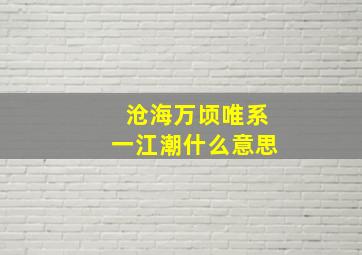 沧海万顷唯系一江潮什么意思