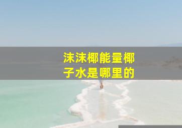 沫沫椰能量椰子水是哪里的