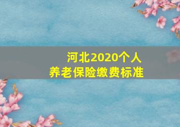 河北2020个人养老保险缴费标准