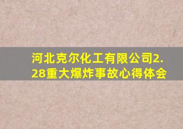 河北克尔化工有限公司2.28重大爆炸事故心得体会