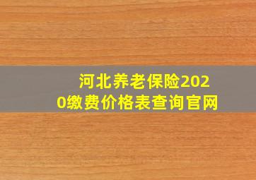 河北养老保险2020缴费价格表查询官网