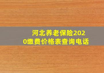 河北养老保险2020缴费价格表查询电话