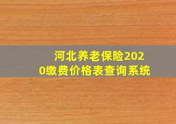 河北养老保险2020缴费价格表查询系统