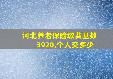 河北养老保险缴费基数3920,个人交多少