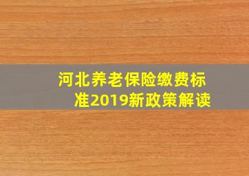 河北养老保险缴费标准2019新政策解读