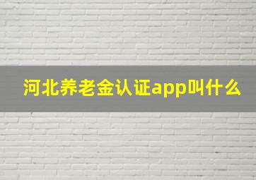 河北养老金认证app叫什么