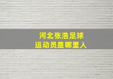 河北张浩足球运动员是哪里人