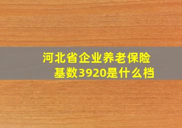 河北省企业养老保险基数3920是什么档