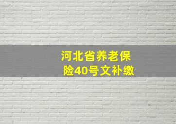 河北省养老保险40号文补缴