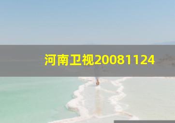 河南卫视20081124