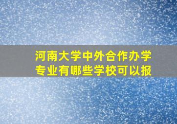 河南大学中外合作办学专业有哪些学校可以报