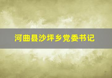 河曲县沙坪乡党委书记