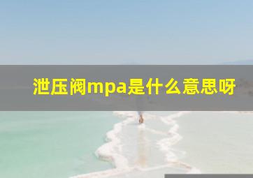 泄压阀mpa是什么意思呀