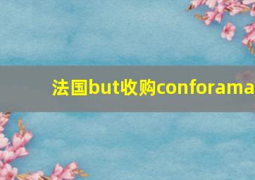 法国but收购conforama