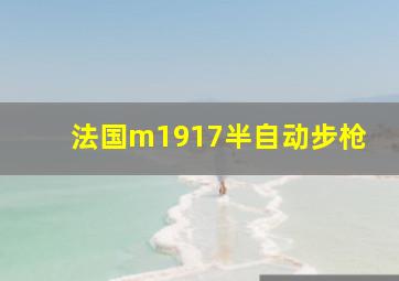 法国m1917半自动步枪