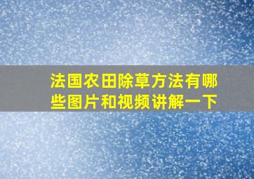 法国农田除草方法有哪些图片和视频讲解一下