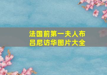 法国前第一夫人布吕尼访华图片大全