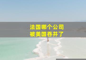 法国哪个公司被美国吞并了