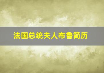 法国总统夫人布鲁简历