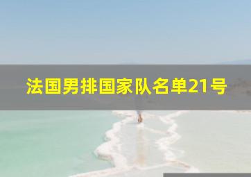 法国男排国家队名单21号