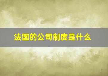 法国的公司制度是什么