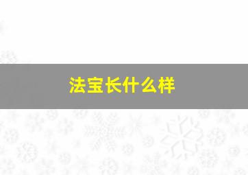 法宝长什么样