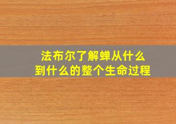 法布尔了解蝉从什么到什么的整个生命过程