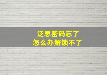 泛思密码忘了怎么办解锁不了