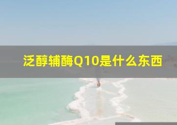 泛醇辅酶Q10是什么东西