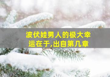 波伏娃男人的极大幸运在于,出自第几章