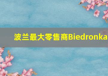 波兰最大零售商Biedronka