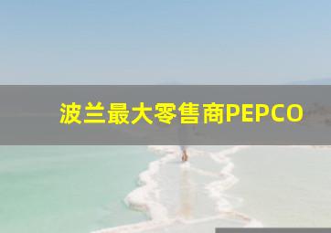 波兰最大零售商PEPCO