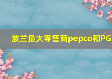 波兰最大零售商pepco和PGS