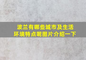 波兰有哪些城市及生活环境特点呢图片介绍一下