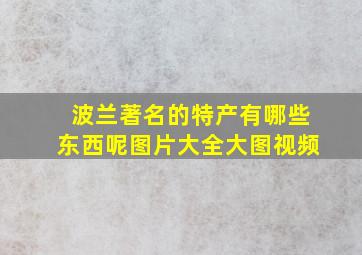 波兰著名的特产有哪些东西呢图片大全大图视频