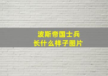 波斯帝国士兵长什么样子图片